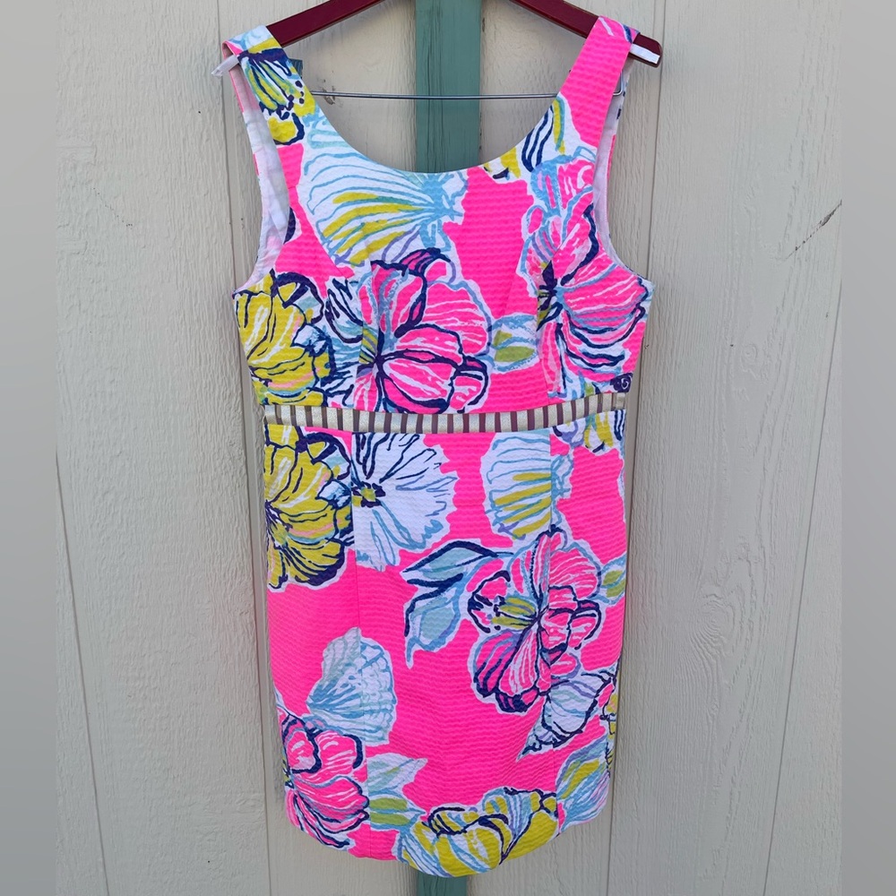 Lilly Pulitzer Iggy Kir Royal Pink Swept By The Tide dress 8
